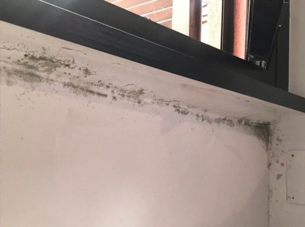 muffa sotto la finestra